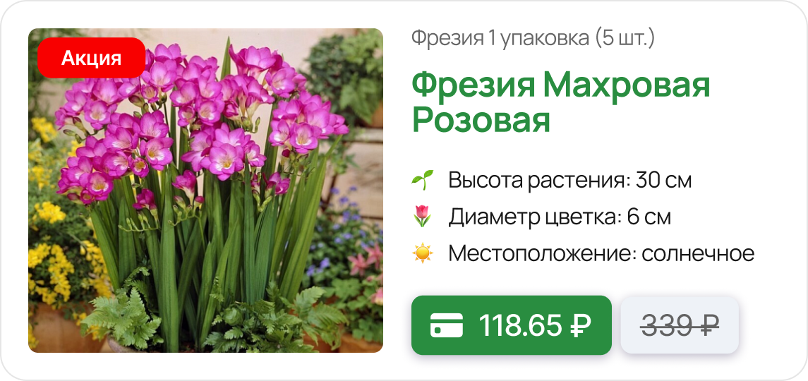 Карточка цветы.png