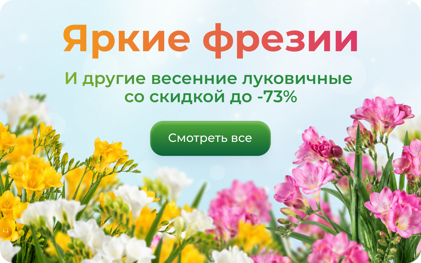 Frame 1367935284.png