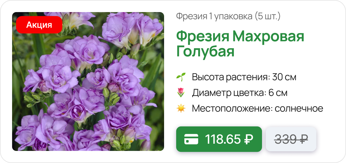 Карточка цветы.png