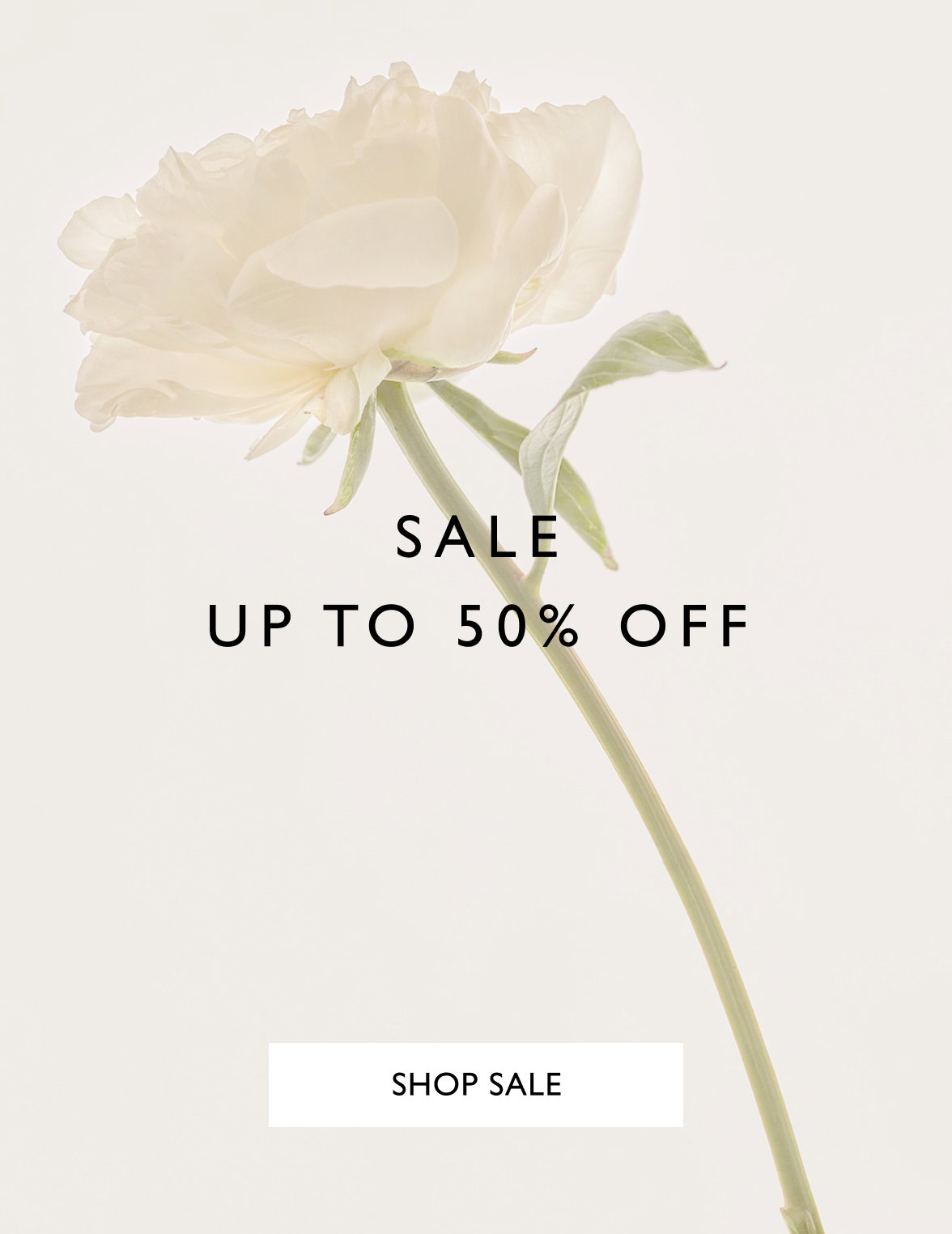 Shop Sale