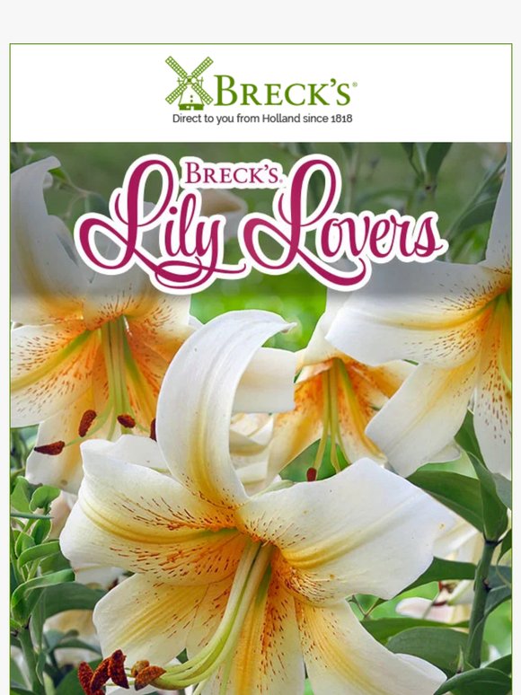Smell Ya Later, Boring Borders! Meet Our Latest Lilies