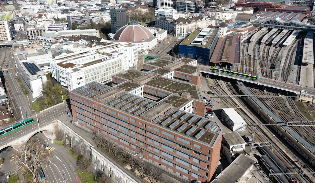 It's a Nightclub, a Book Fair, a Sauna, an Art Show, and More. It's Basel Social Club!