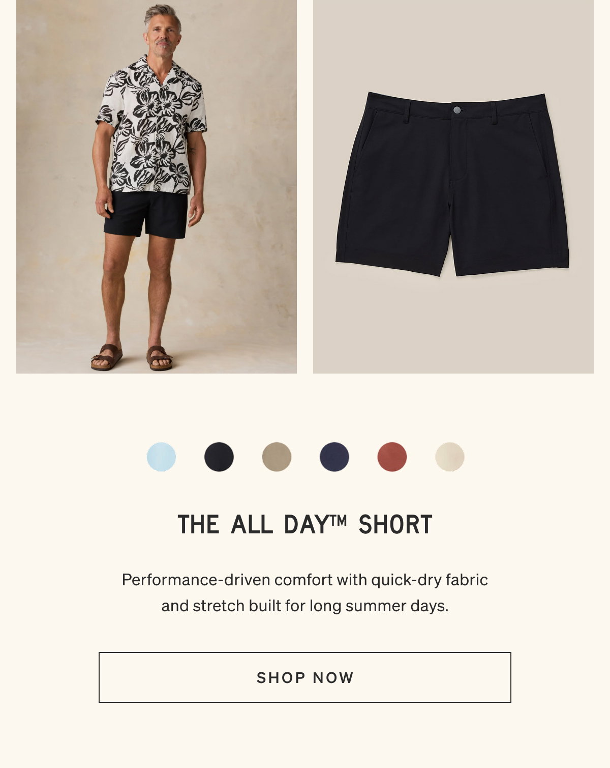 The All Day Short