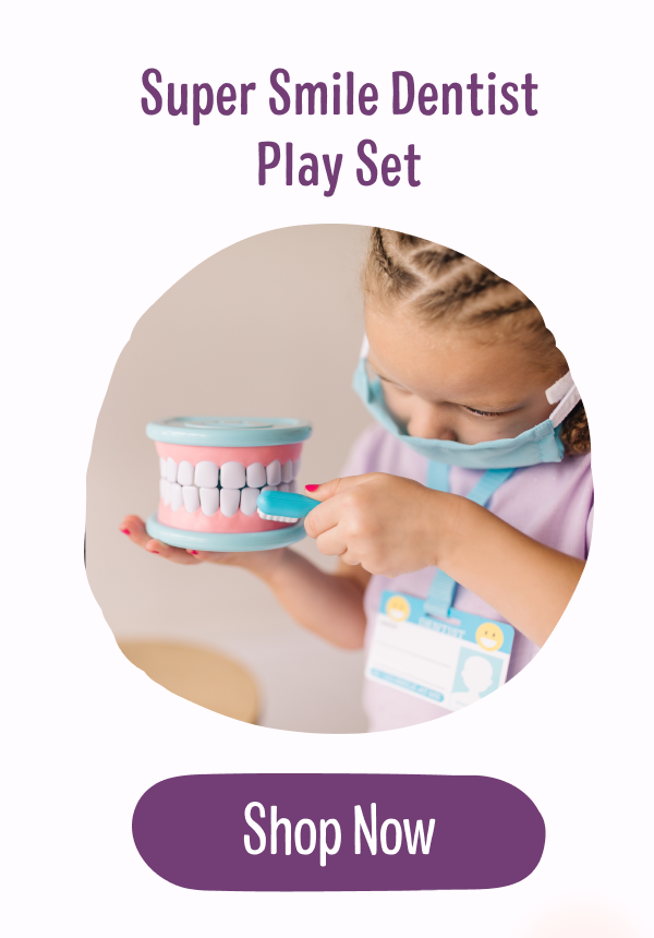Super Smile Dentist Play Set
