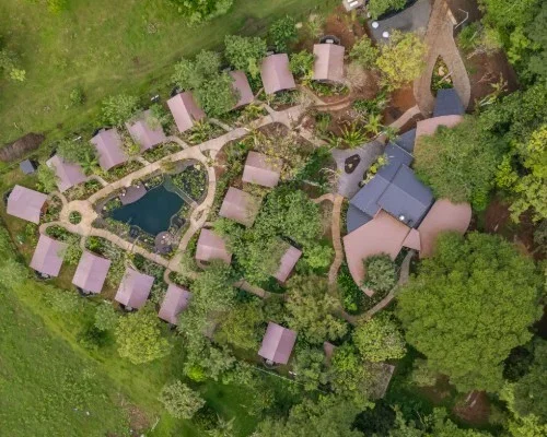 SIGNATURE COSTA RICA |  Where The Wild Answers