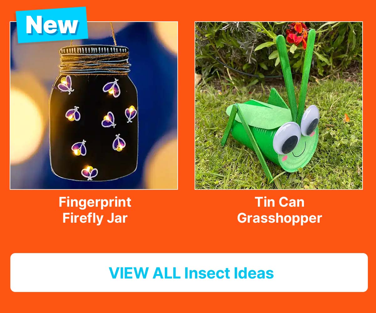 Insects Craft Ideas