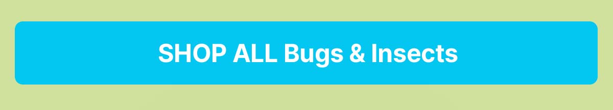 Bugs & Insects