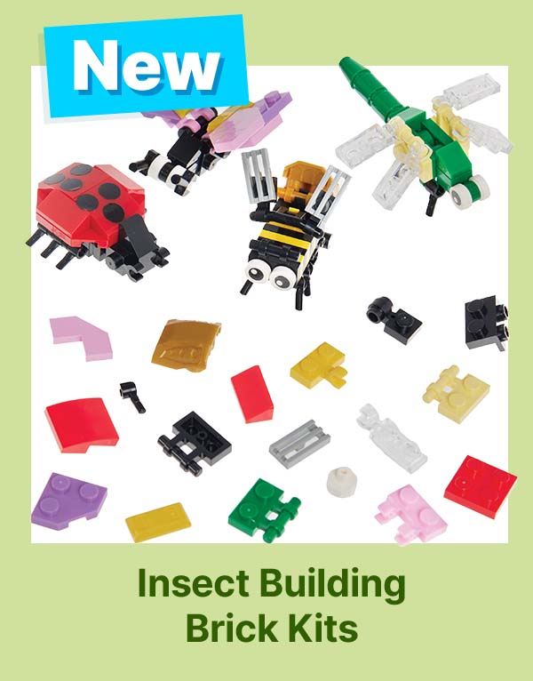 Insect Building Brick Kits