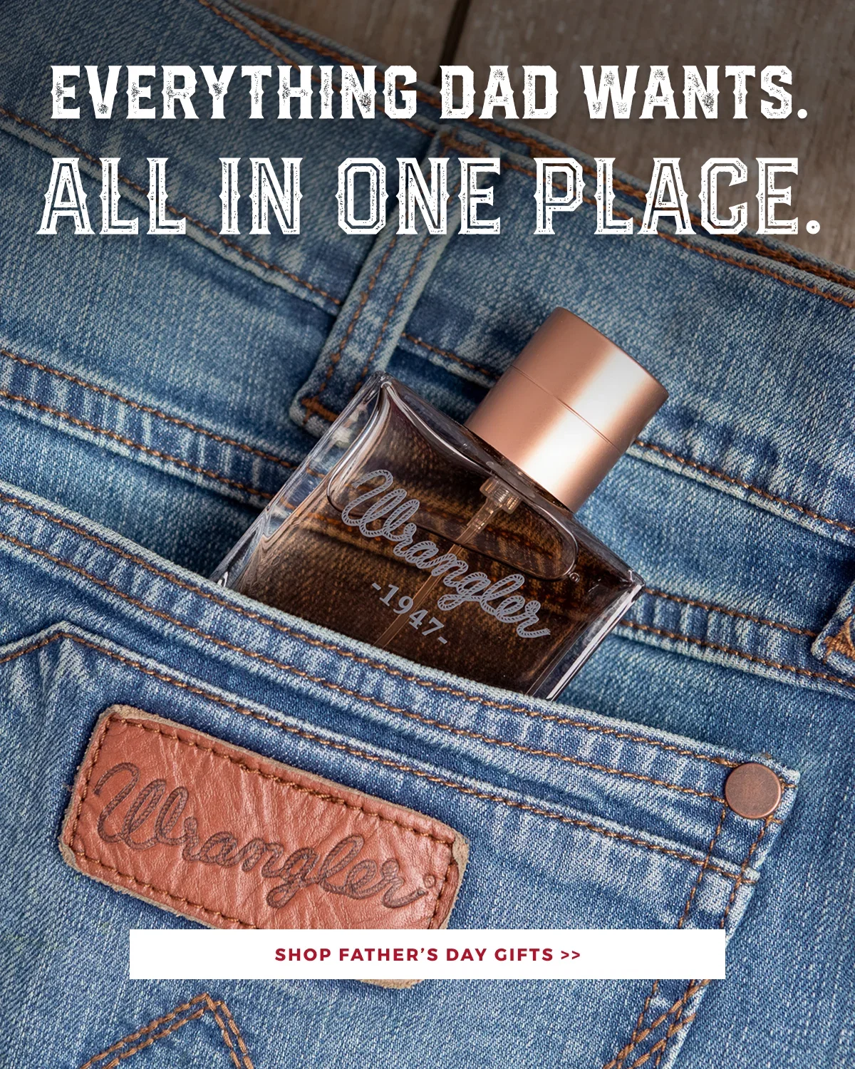 EVERYTHING DAD WANTS. ALL IN ONE PLACE. | SHOP FATHER'S DAY GIFTS >>