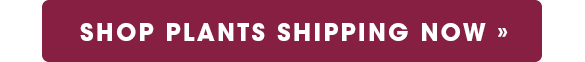 Shop Plants Shipping Now