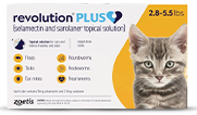 Revolution Plus