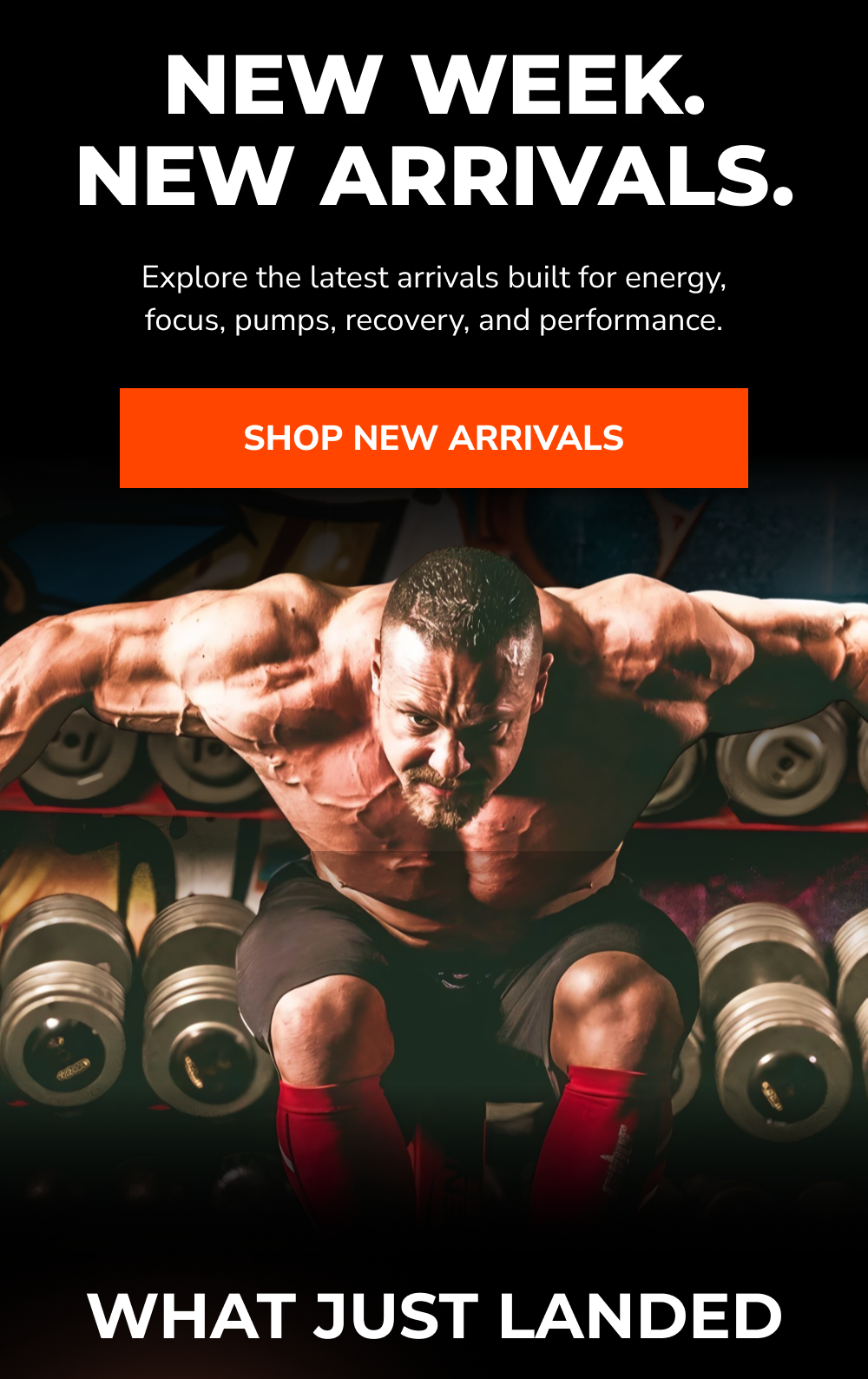 Text promoting new arrivals for energy, focus, recovery, and performance.
