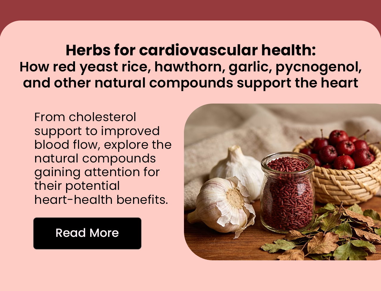 Herbs for Cardiovascular Health: How Red Yeast Rice, Hawthorn, Garlic, Pycnogenol, and Other Natural Compounds Support the Heart. From cholesterol support to improved blood flow, explore the natural compounds gaining attention for their potential heart-health benefits. Read More.