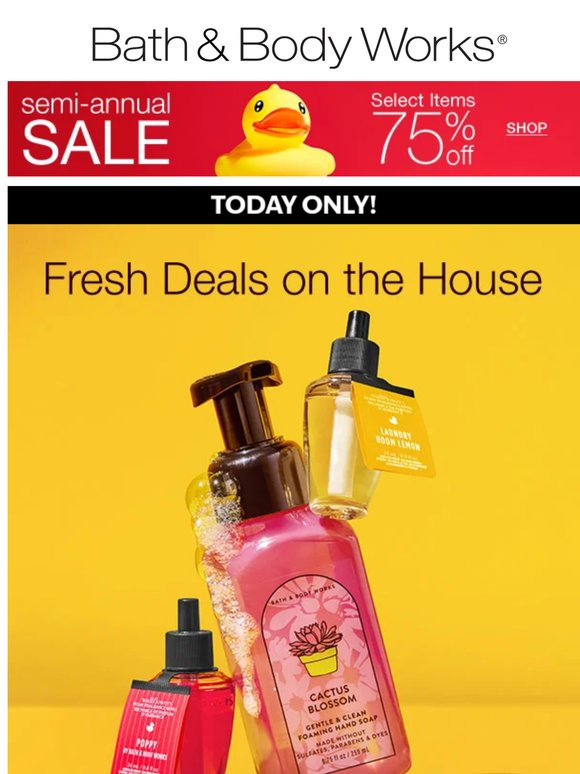 Semi-Annual Sale is back: 🙌 $2.99 deals today only! 🛍️