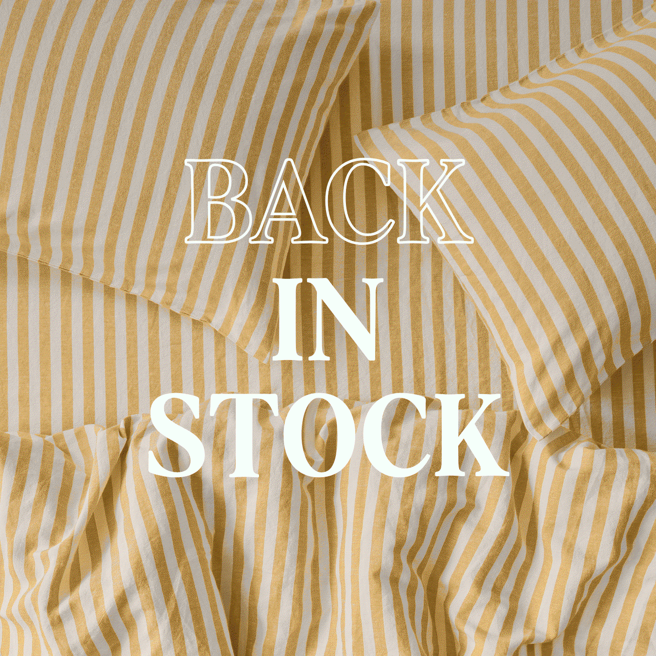 HONEY PEMBROKE STRIPE BACK IN STOCK