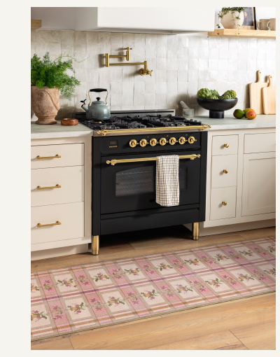 Quinnlyn Rose Multicolor Rug