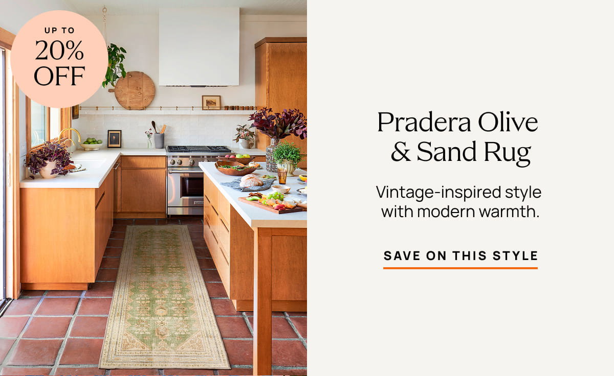 Pradera Olive & Sand Rug | Save On This Style 