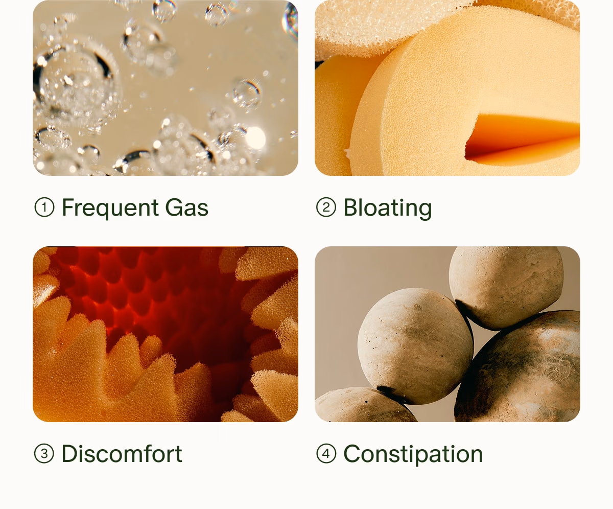 1 Frequent Gas | 2 Bloating | 3 Discomfort | 4 Constipation