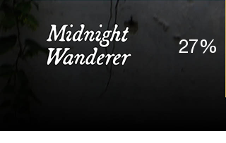 Midnight Wanderer