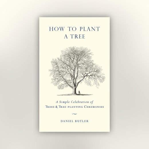 How to Plant a Tree