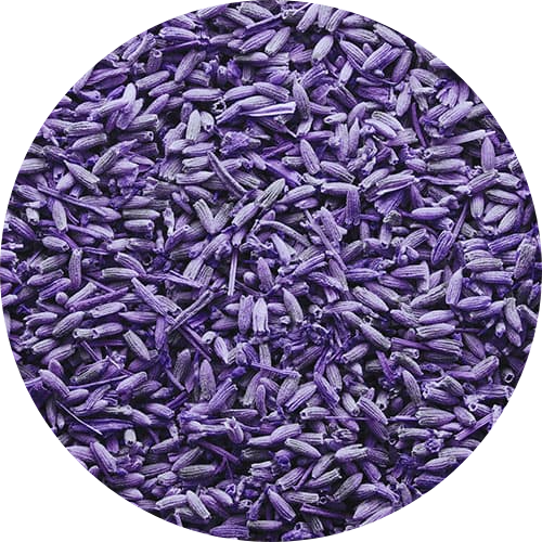 Lavender_essential_oil
