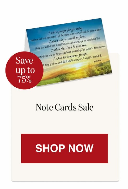 Note Cards Sale [Click here to Shop Now]