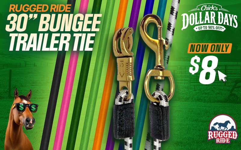 Bungee Trailer Ties $8 - Dollar Days Deals