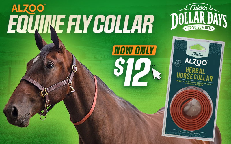 Alzoo Equine Fly Collar $12 - Dollar Days Deal!
