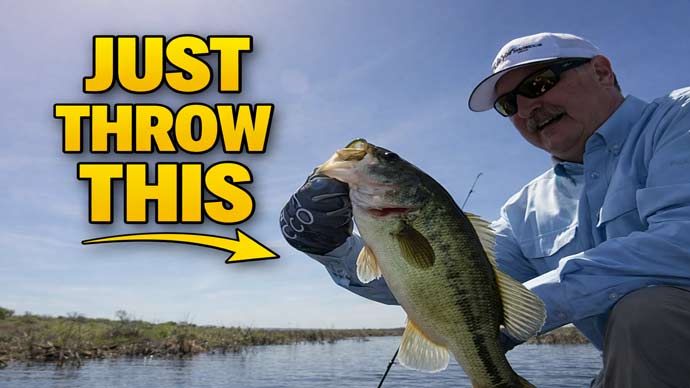 Bass Fishing Video