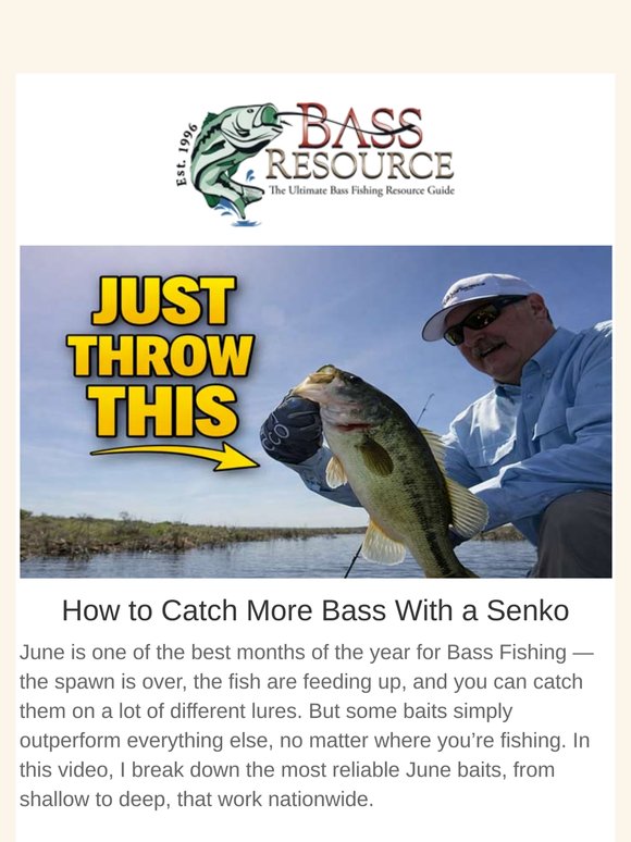 The Senko - Everything You Need To Know