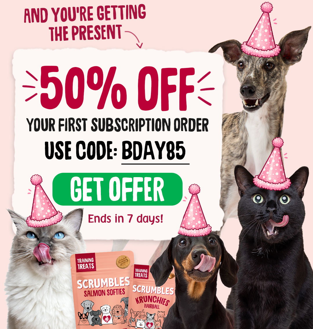 start subscription
