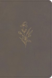 KJV Large Print Compact Reference Bible, Clay