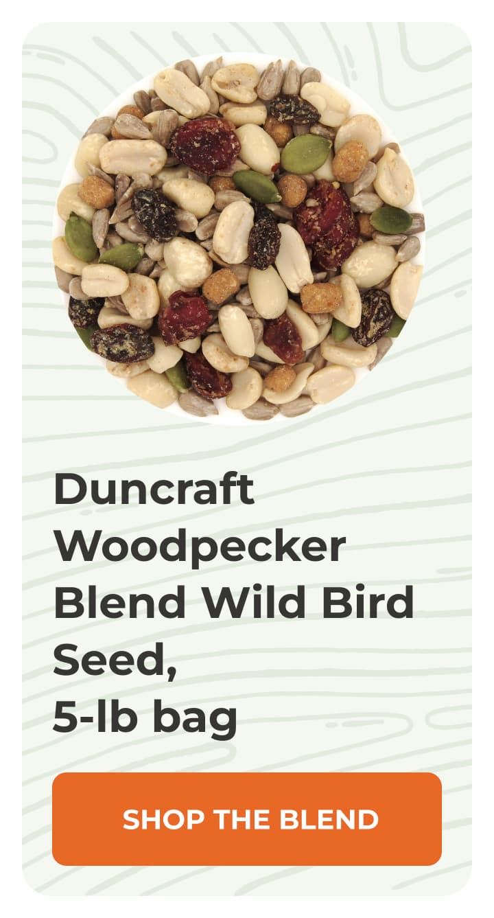 Duncraft Woodpecker Blend Wild Bird Seed