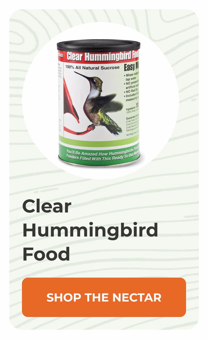 Clear Hummingbird Food