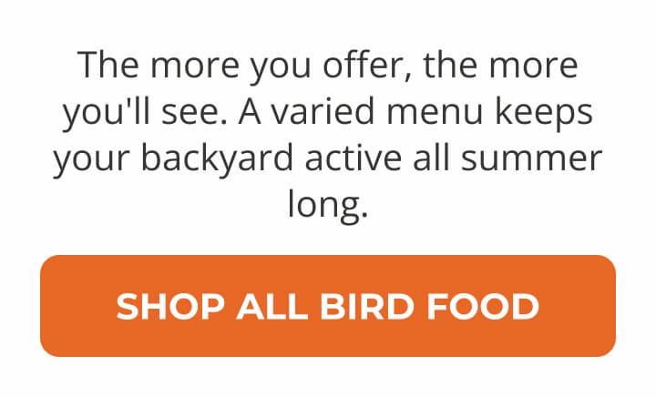 The more you offer, the more you'll see