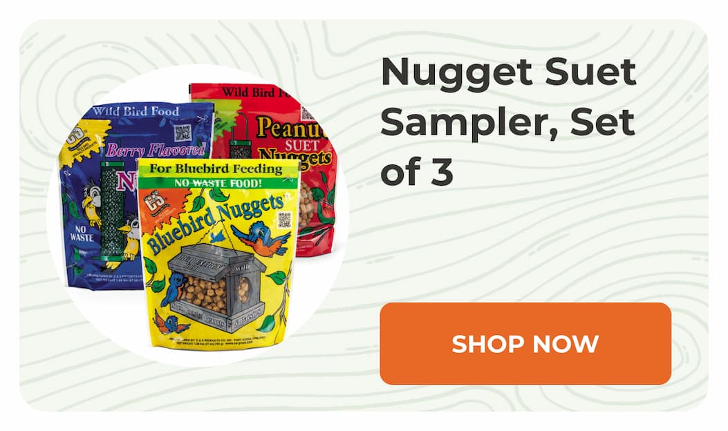 Nugget Suet Sampler, Set of 3