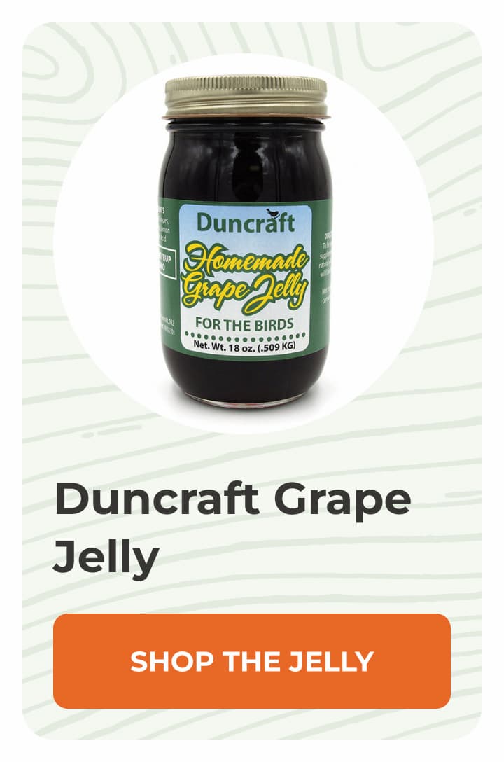 Duncraft Grape Jelly