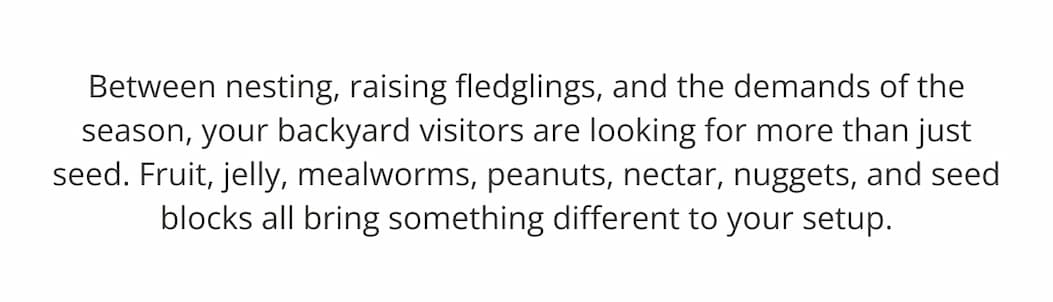 Between nesting, raising fledglings