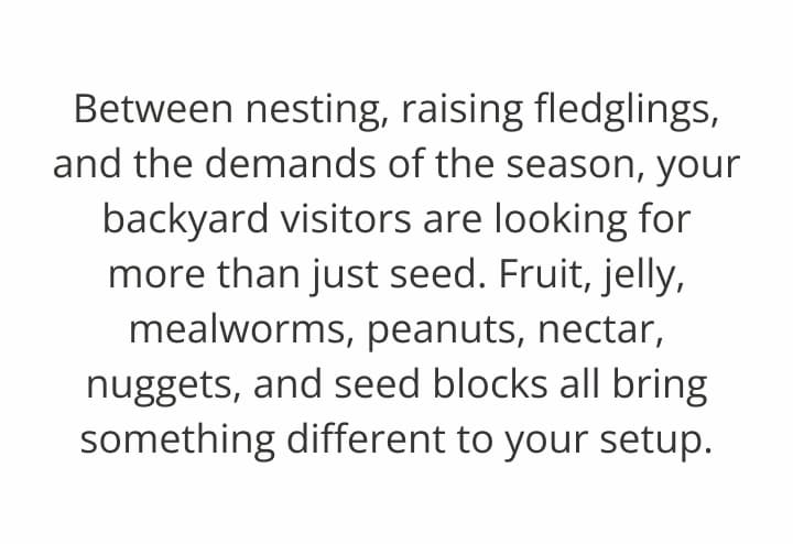 Between nesting, raising fledglings
