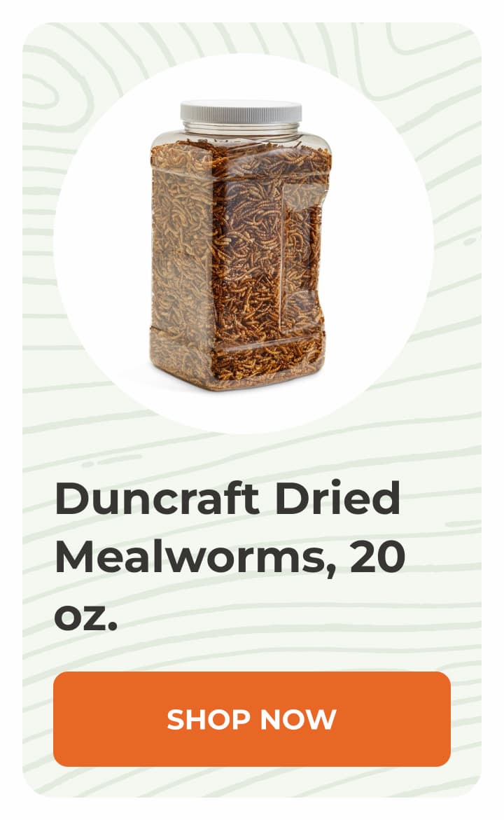 Duncraft Dried Mealworms, 20 oz.