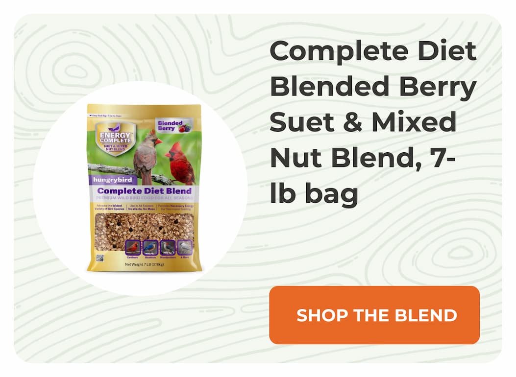 Complete Diet Blended Berry