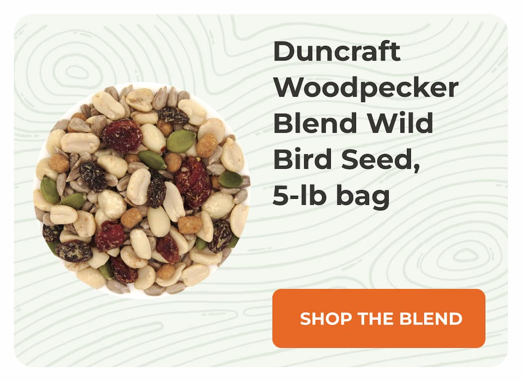 Duncraft Woodpecker Blend Wild Bird Seed