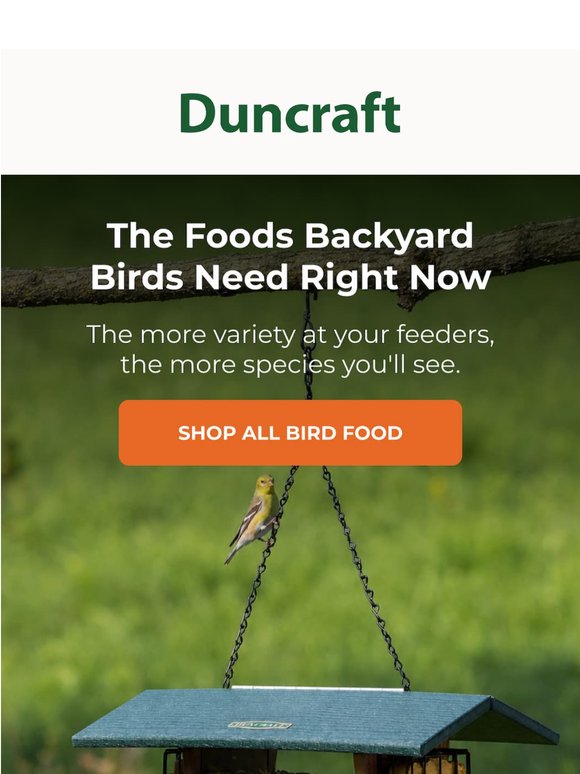 The Menu Your Birds Love