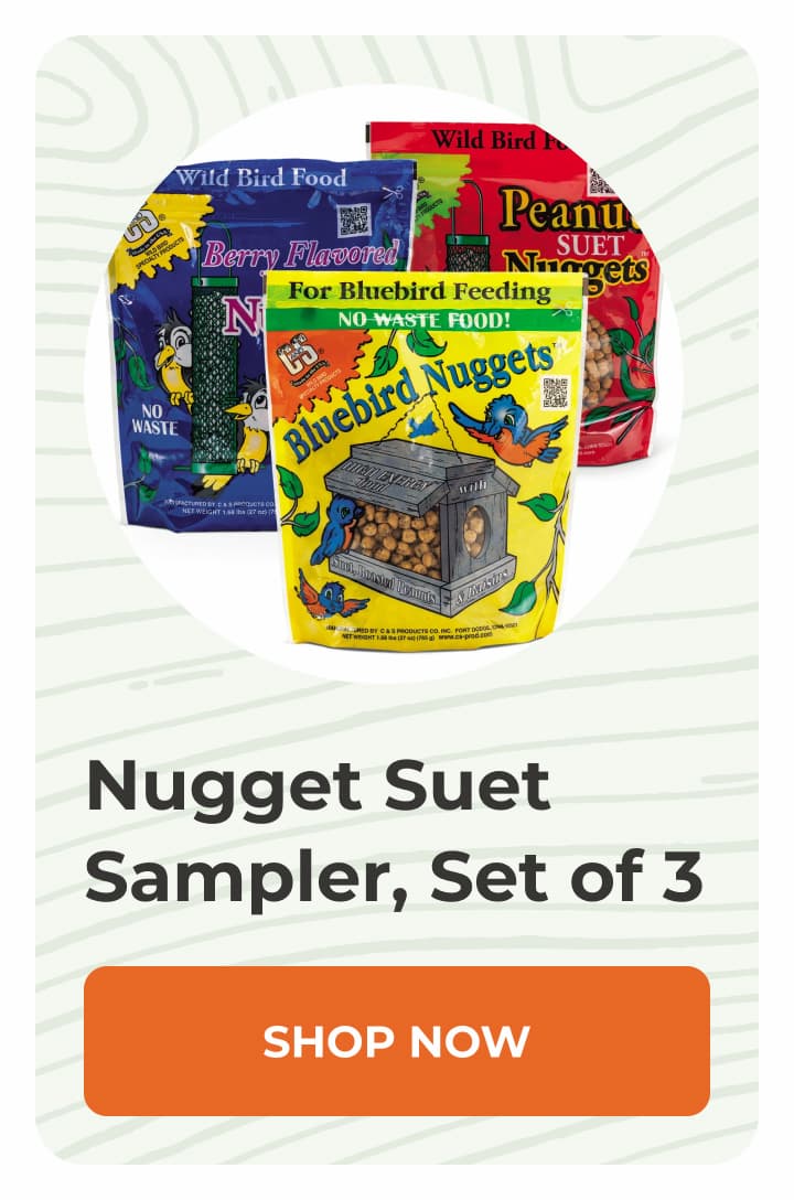 Nugget Suet Sampler, Set of 3