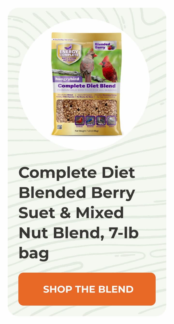 Complete Diet Blended Berry