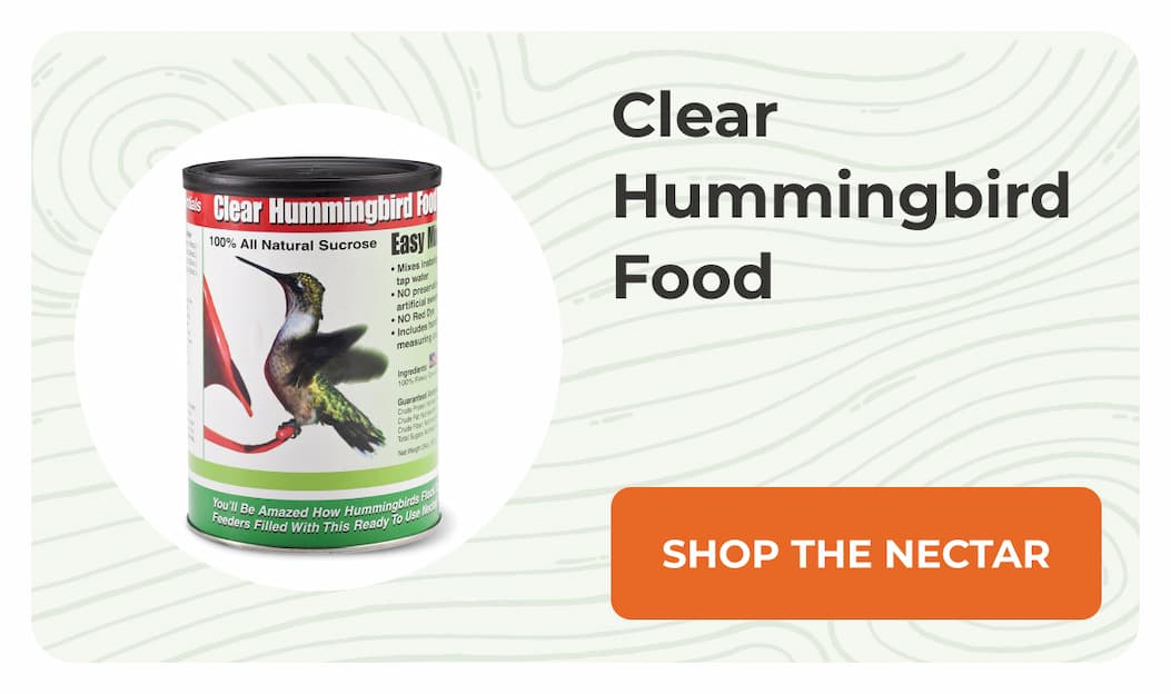 Clear Hummingbird Food
