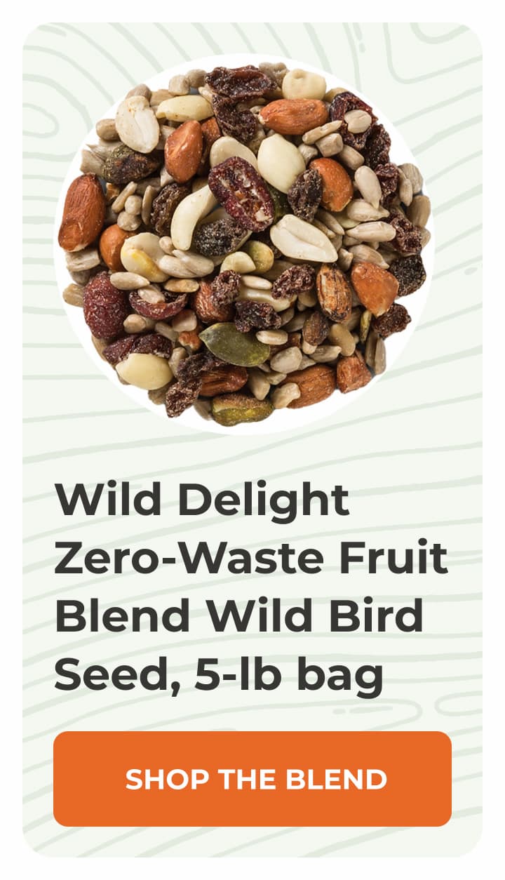 Wild Delight Zero-Waste Fruit Blend Wild Bird Seed