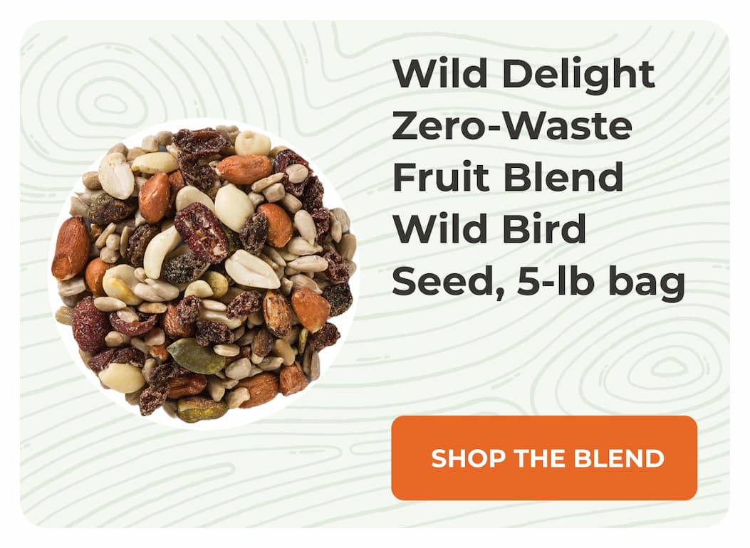 Wild Delight Zero-Waste Fruit Blend Wild Bird Seed