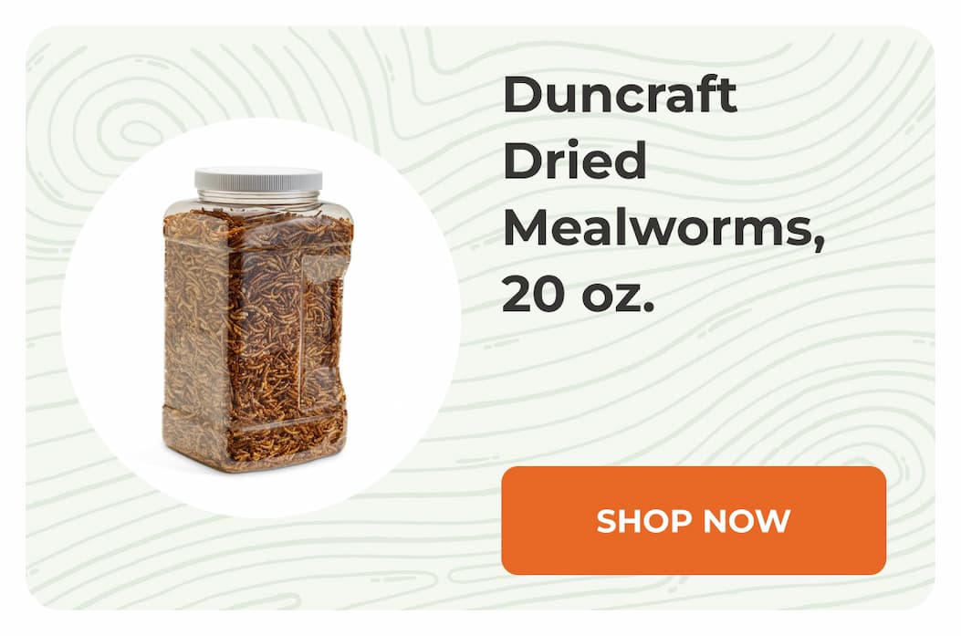 Duncraft Dried Mealworms, 20 oz.