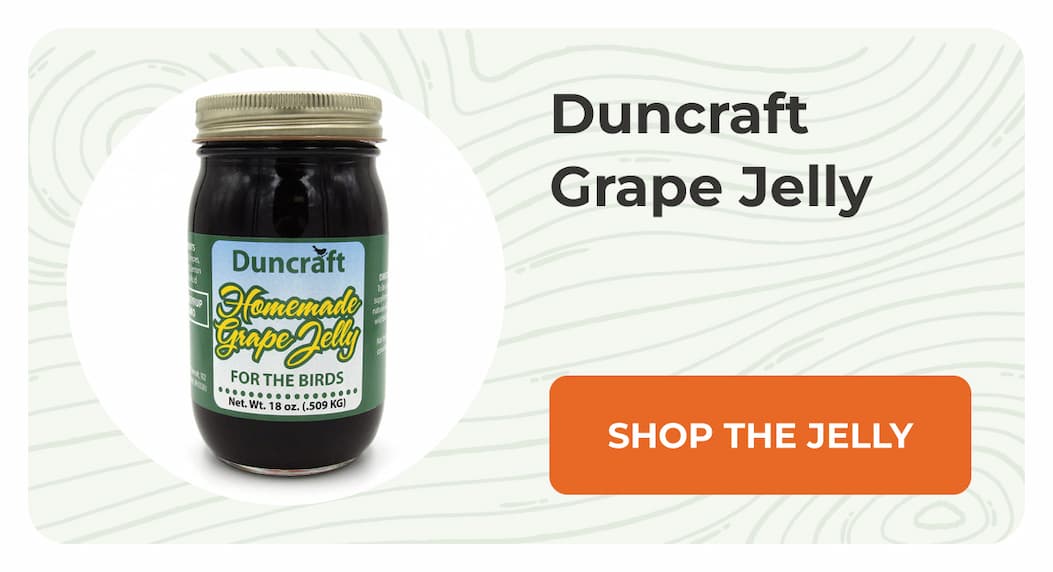 Duncraft Grape Jelly